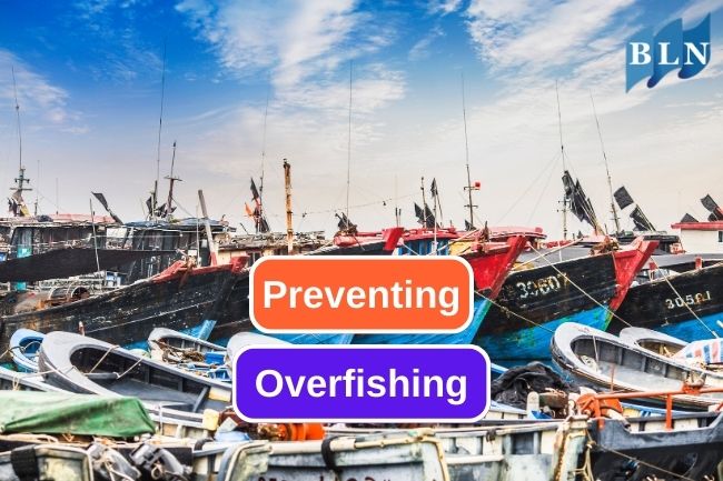 8 Acts to Combat Overfishing for Sustainable Fisheries